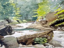 The Old Fishing Hole