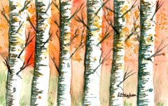 Autumn-in-the-Birches