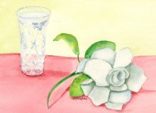 Gardenia
