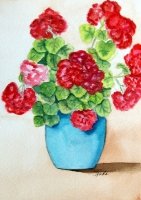 Geranium in Blue Pot