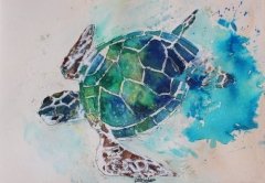 Turtle from the Sea
