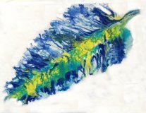 Feather Liquid Art