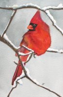 Louie-Cardinal