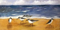 Sandpipers