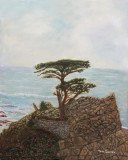 The-Lone-Cypress-lt