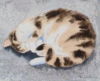 Tummy Time