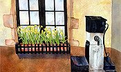 Belgian Window