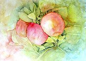 Fruit Of Fall