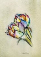 Artichoke Hearts