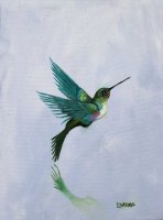 Hummingbird Beauty
