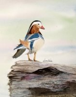 Mandarin