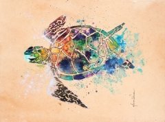 Sea Turtle