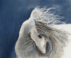 Stormy