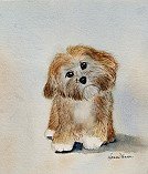 Cooper