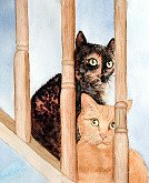 My Kitties
