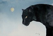 Panther