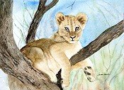 Tiger Cub