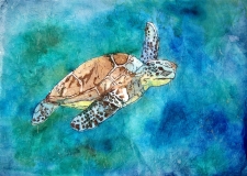 Turtle Batik