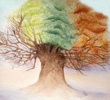 A Tree for all Seasons