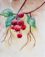 Frosted Rose Hips on Yupo