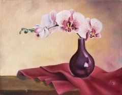 Orchid