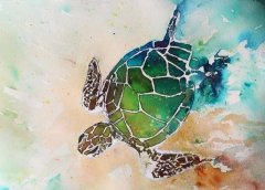 Turtle w Powder