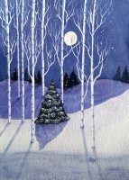 Winter Soltice