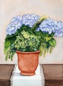 Blue Hydrangeas