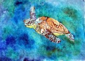 Sea Turtle