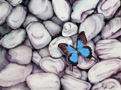 Blue Butterfly