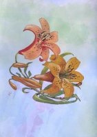Day Lilies