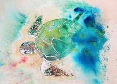 Turtle From the Sea