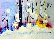 Colors Of Winter