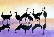 Cranes