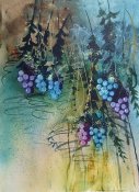 Grapes on the Vine