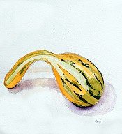 Gourd