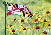 My Maryland