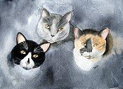Three Musketeers