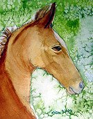 Horse