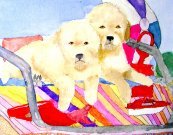Puppies