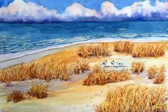 Elaine Wilcoxson