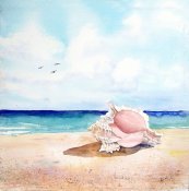Sea Shell