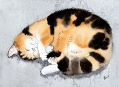 Sleeping Cat