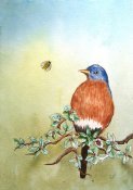 we bluebird