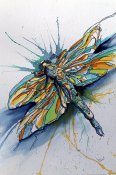 we dragonfly