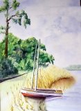 Beached Boat
