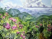 Mountain Flowers
